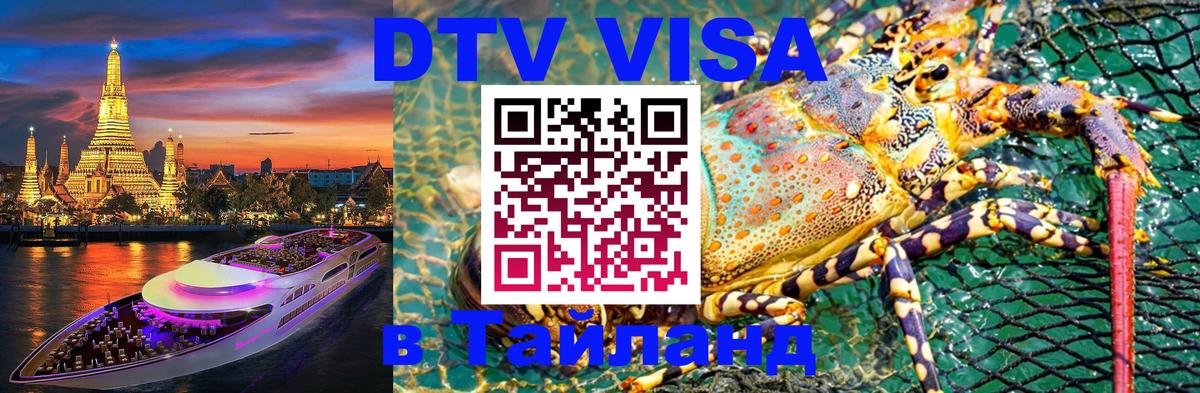 Сколько стоит DTV виза — актуальные цены, оформление даже без документов - Тегеран  19.11.2025 